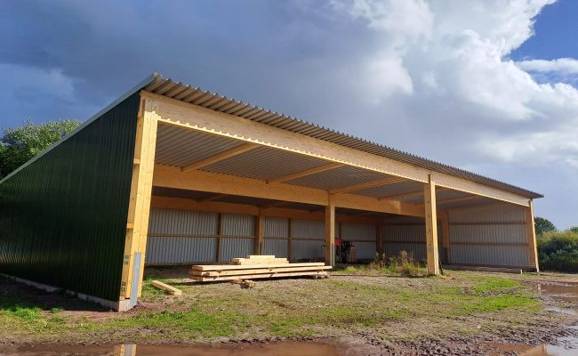 Image - Kinder mit Pferden stärken