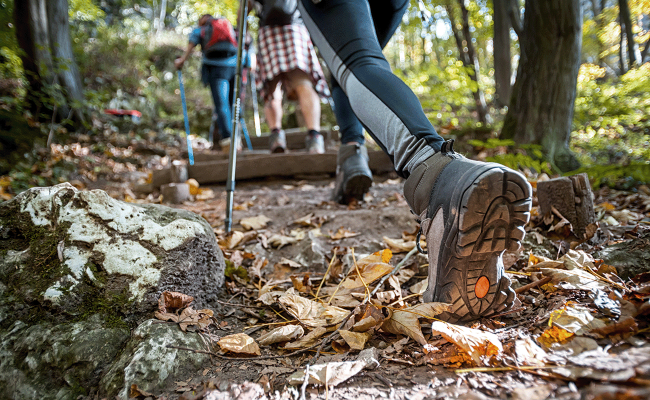 Image - Konzeptentwicklung für den ersten BNE-Wanderweg im Landkreis  Osnabrück